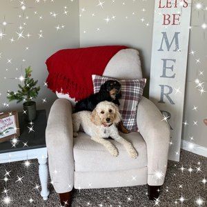 Meet your Posher, Ami